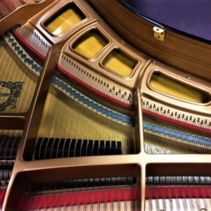 Image forYamaha GP1 Grand Piano