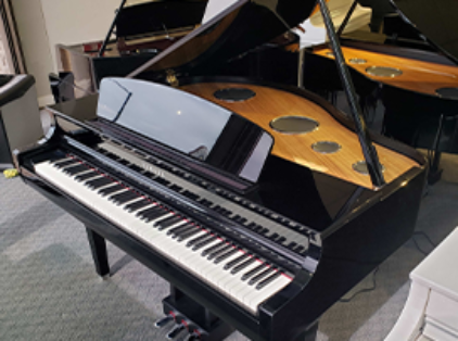 Image for Yamaha Clavinova Digital Model CLP-795GP