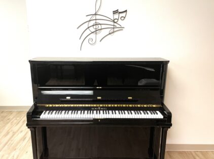 Image for Schimmel Professional Upright