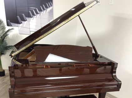 Image for Yamaha DC3 Disklavier Player Grand