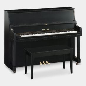 Image for Yamaha P22