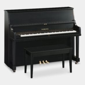 Image for Yamaha P22