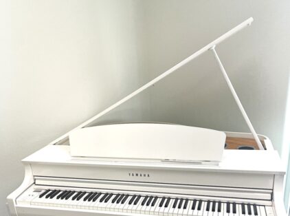 Image for Yamaha CLP 695GP Digital Grand