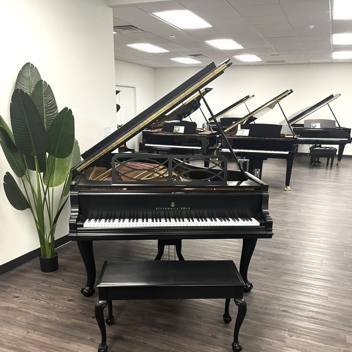 Steinway & Sons Model B Chippendale