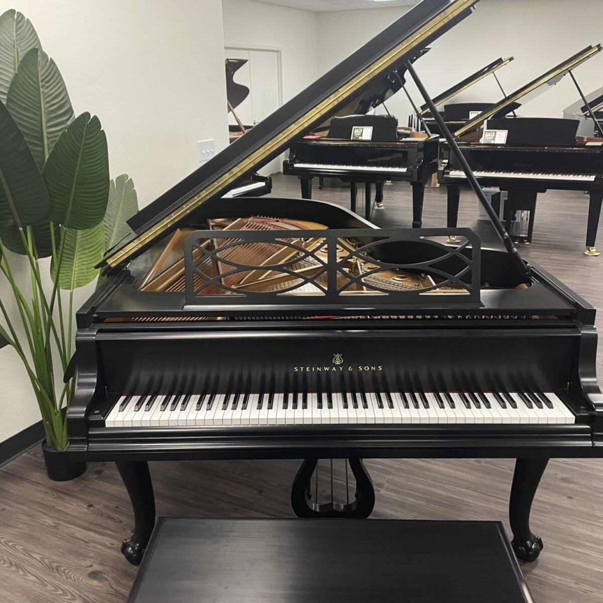 Steinway & Sons Model B Chippendale