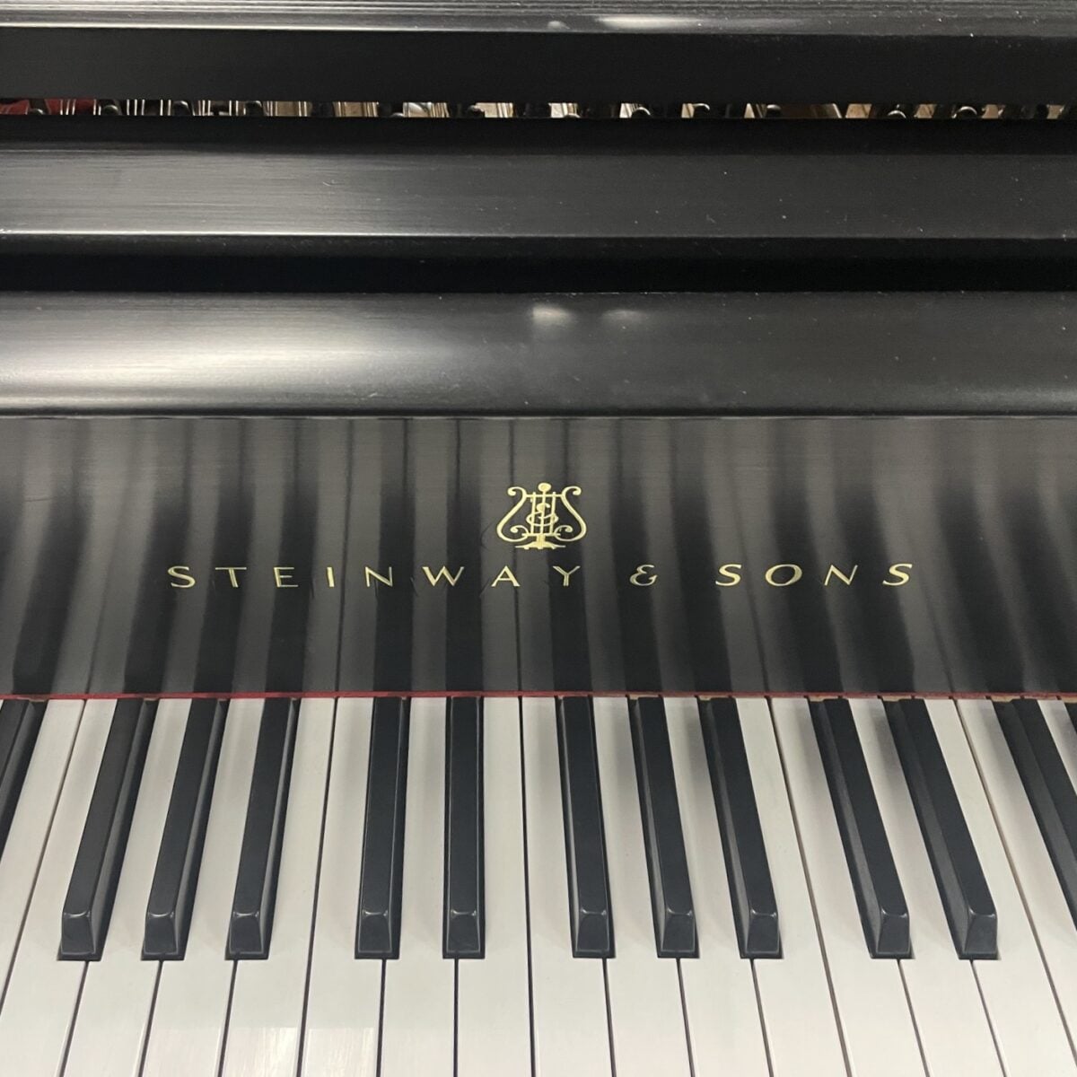 Steinway & Sons Model B Chippendale