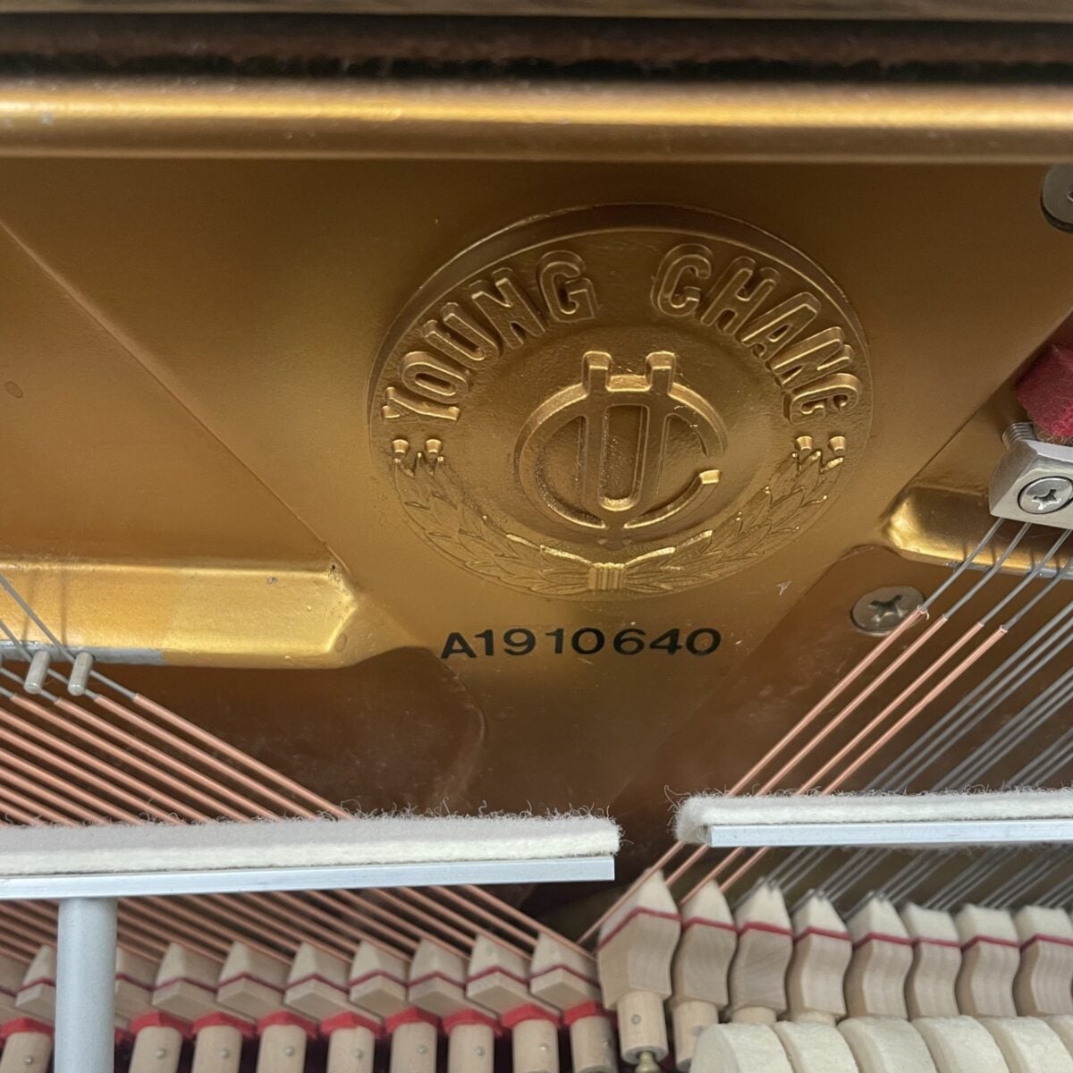 Young Chang U121 Upright