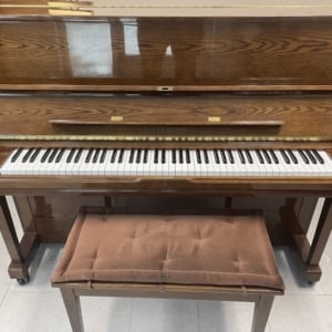 Image forYoung Chang U121 Upright