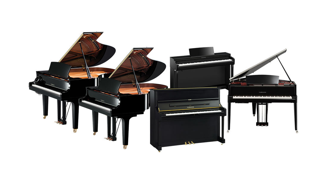 Assorted Yamaha grand and upright pianos displayed in a showroom setting.